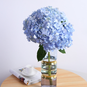 绣球鲜花云南昆明基地直发直批助农家庭办公室水养重瓣粉蓝色花束