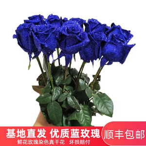 蓝色妖姬蓝玫瑰真干花云南鲜花基地直批直发情人节花束速递同城