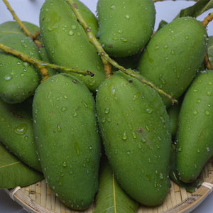 生吃芒果10斤