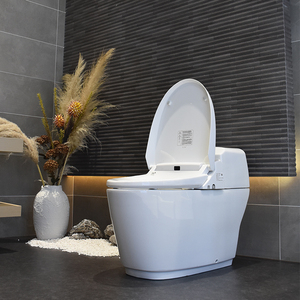 inax日本伊奈智能一体滢系马桶虹吸式座便器即热遥控坐便器马桶