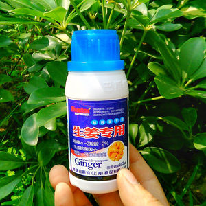 巴斯特生姜专用杀菌剂 姜瘟 软腐疫病斑点青枯立 包邮