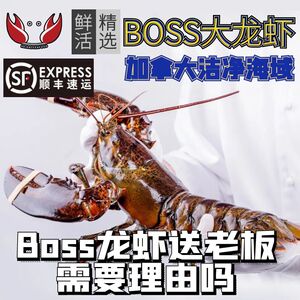 波龙波士顿龙虾鲜活大龙虾特大奥龙加拿大澳洲海鲜帝王蟹小青龙