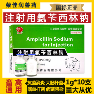 兽药注射用氨苄西林钠兽用氨苄西林钠猫狗兔牛羊猪用抗菌消炎肺炎