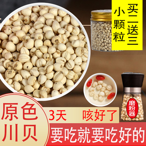 送磨粉器】 四川贝母原色颗粒小米贝 仿野生种植小孩咳嗽川贝之家