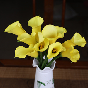 海芋鲜花黄色红色黑色白色马蹄莲鲜切花送闺蜜女朋友水养鲜花速递