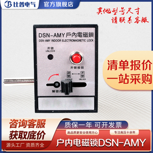 户内高压电磁锁DSN-AMY 高压开关柜配件右开电磁开关交直流通