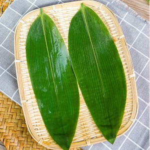 湖北野生粽子叶新鲜新叶粽叶免邮大号真空棕叶棕子叶包粽子的叶子