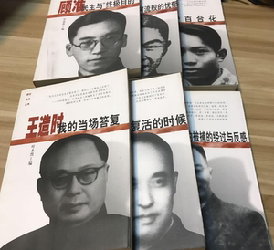 野百合花丛书(全6册):储安平 罗隆基 王实味 胡风 王造时 顾准