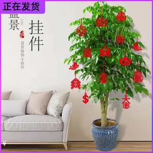 植绒小挂件挂饰银柳富贵竹干花盆栽盆景装饰室内客厅户外迷你