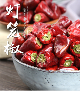 灯笼椒贵州干红辣椒500g微辣特香适用麻辣香锅油辣子火锅调味料