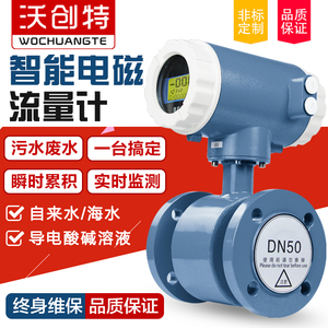 LDG电磁流量计消防自来水污水液体管道分体式DN50DN100流量计量表