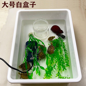 乌龟缸发色白盒子塑料保温