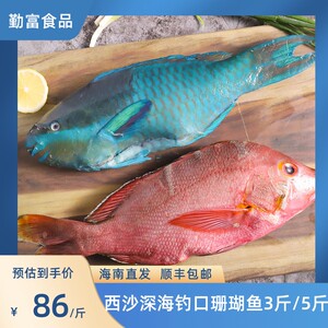 001人付款天猫海捕深海青衣鱼珊瑚鱼3斤装 新鲜冷冻