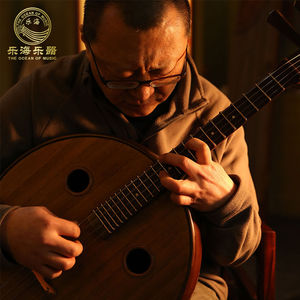 刘星半度中阮?似古琴音色面板做旧专业演奏中阮古