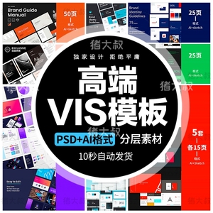 高端国外企业公司品牌ai全套VIS视觉识别系统LOGO形象手册VI模板
