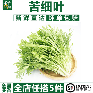 【千牛优福】苦叶生菜500g新鲜蔬菜苦菊苦细叶沙拉食材狗牙菜苦苣