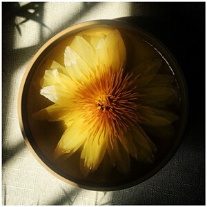 台湾九品香莲茶 观音香水莲花茶 花苞整朵鲜花茶 金莲三色20朵