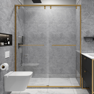 金色适用于长虹玻璃干湿分离淋浴房推拉门沐浴隔断浴室卫生间移门