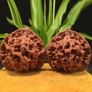 精品文玩把玩手件盘核桃官帽公子帽鸡心虎头金刚纹手盘特大收藏级