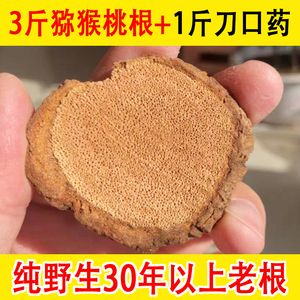 刀口药和杨桃根