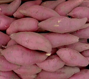 西瓜红红薯新鲜10斤沙地蜜薯山东红暑密薯糖心蜜暑红心地瓜小红薯