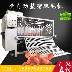 整猪脱毛机 个体杀猪褪毛刮毛打毛刨毛设备 屠宰家猪脱烫毛一体机