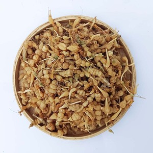 贵州纯野生算盘子中药材珍珠草九子连环草珠串珠干货苗药500g包邮