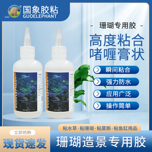 国象珊瑚专用胶水族馆活体珊瑚基座底座纽扣断枝水草莫斯苔藓LSPS海缸海水造景啫喱胶水强力快干可水下操作