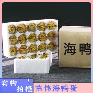 陈伟海鸭蛋老广的味道还珠湾30枚海鸭蛋北部湾红矮树林熟咸鸭蛋