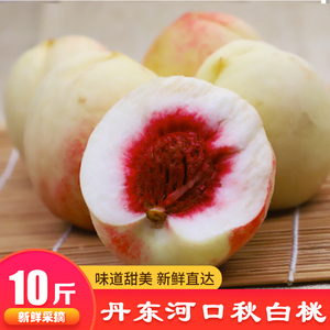东北特产新鲜丹东河口秋白桃离核桃黑沟大毛桃银白桃产地10斤包邮