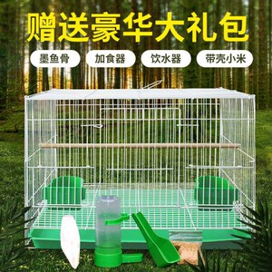 麻雀地笼-淘宝拼多多热销麻雀地笼货源拿货 - 阿里巴巴货源