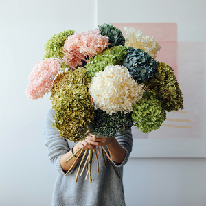 安娜小叶绣球花干花ins风干鲜花真花天然秋色大叶吊顶装饰永生花