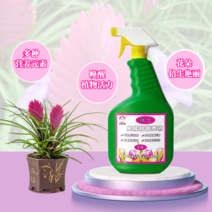 铁兰紫花凤梨专用免稀释营养液喷施叶面肥室内盆栽绿植物花卉肥料