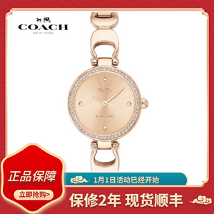 专柜正品COACH蔻驰 PARK帕克系列水晶镶钻手镯式钢带石英女表手表