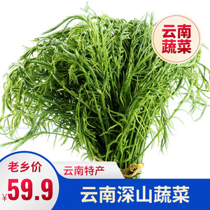 帕哈云南臭菜傣族臭味新鲜蔬菜羽叶金合欢嫩芽野菜帕哈1斤包邮