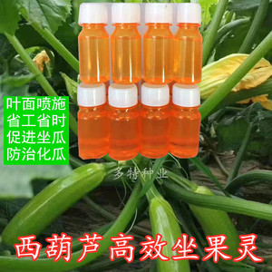 西葫芦授粉药免点花坐瓜灵高效座果沾花药角瓜专用蘸花对花喷花药