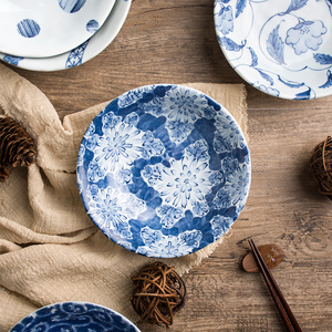 波佐见烧日本进口5寸深圆盘釉下彩小盘子碟子吐骨头盘碟家用陶瓷