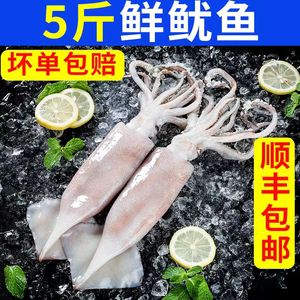5-10斤野生鱿鱼新鲜冷冻大尤鱼尤鱼须整只冻烧烤铁板商用海鲜水产