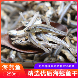宁波海鲜特产干货出口韩国海燕鱼干海蜒小鱼仔小银鱼无骨无刺250g
