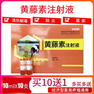黄藤素注射液兽用仔猪牛羊血痢病毒性细菌性黄白痢小猪拉稀药止痢