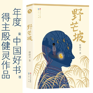 【当当网 正版书籍】野芒坡殷健灵儿童文学长篇力作三四五六年级小