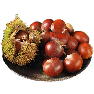 生油栗新鲜