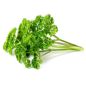 新鲜蔬菜荷兰芹法国香菜欧芹洋芫荽西餐配菜摆盘