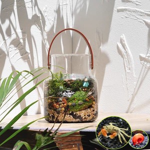 高硼硅透明北欧创意皮革提手玻璃花瓶水培植物插花瓶创意家居饰品