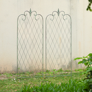 花园花架庭院装饰月季铁线莲植物爬藤网格支架铁艺攀爬墙户外围栏