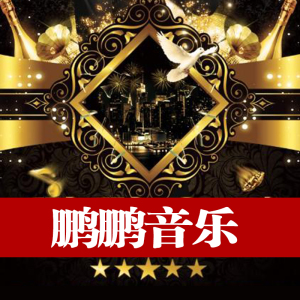 鹏鹏音乐cd专辑无损音乐汽车用光盘抖音网红歌曲新歌车载cd碟片