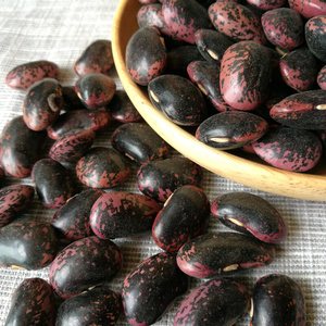 四川万源土特产岩豆500g/罐大巴山富硒高山种植天然健康