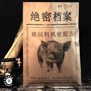 创意恶搞猪饲料零食大礼包巨型混装整蛊生日礼物送男朋友女友老婆