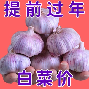 【突破低价】23山东金乡大蒜头干蒜5斤新鲜紫白皮蒜头9斤批发种籽