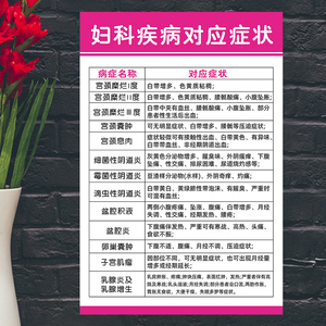 医院妇科健康知识宣传画妇科疾病对应症状女性生殖器系统解剖挂图